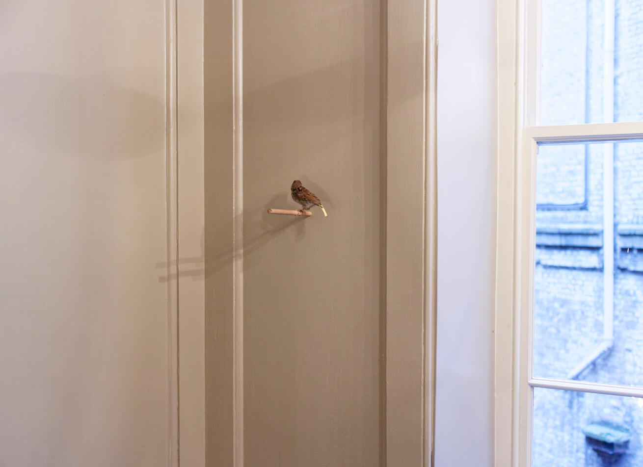 Leipzig Unfolding - FAMED