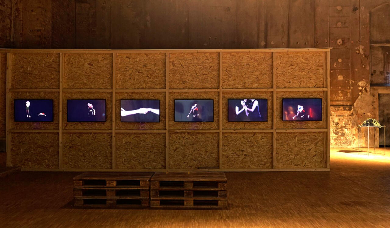 Hybrid Bodies - Ingrid Bachmann