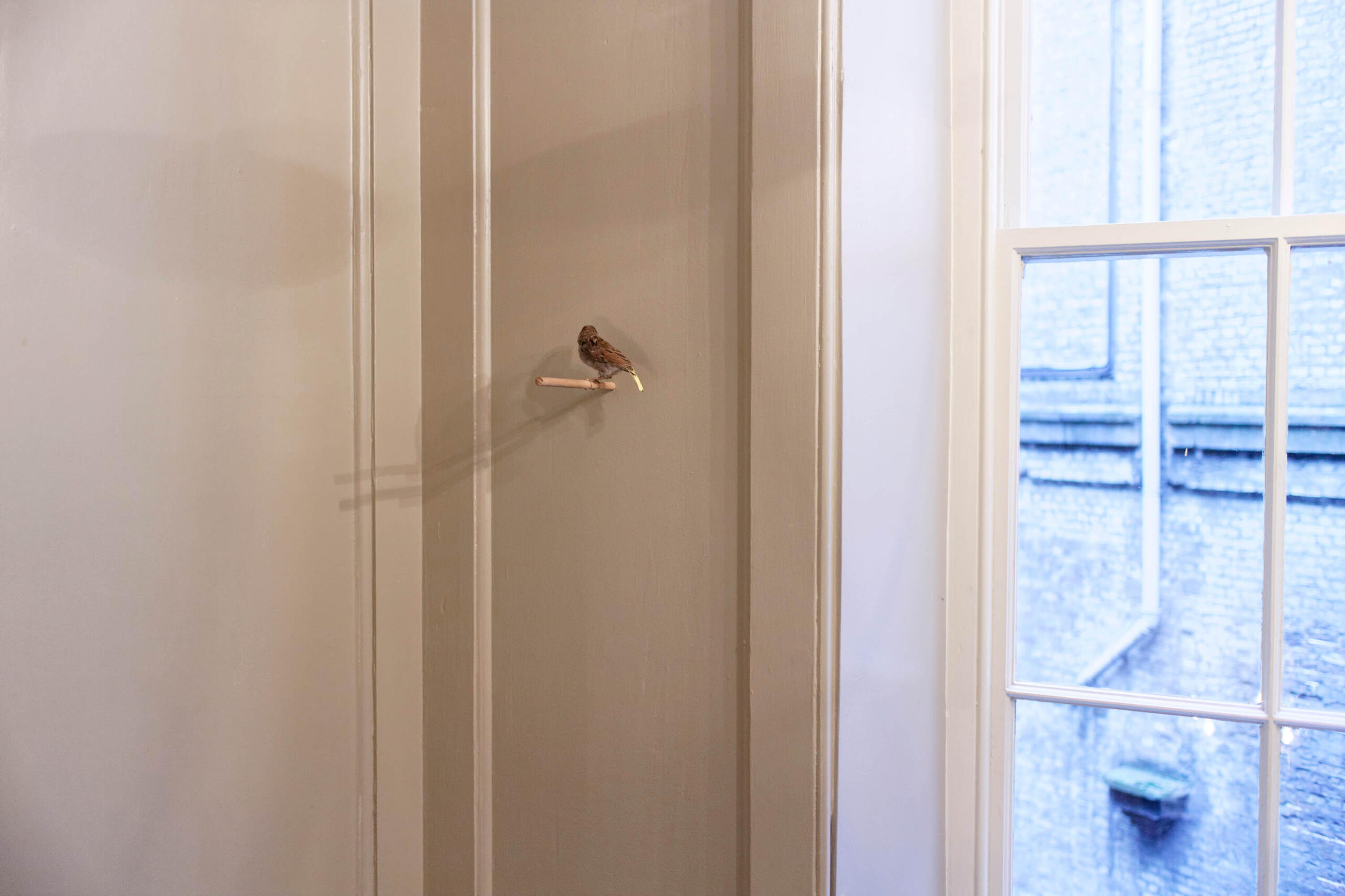 FAMED_ApertoArts-Leipzig-Unfolding-Lavinia-Diniz-Freitas-FalkMesserschmidt